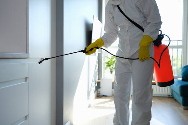 Best Insurance-Related Mold Remediation in Darmstadt, IN